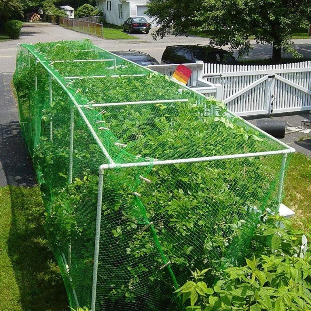 Garden Netting for Plant Protection - Safeguard Fruits, Flowers, and Trees