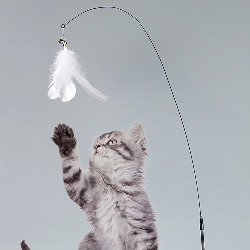 Interactive Feather Wand Cat Toys: Detachable Kit with Suction Cup and 2 Replacement Feathers