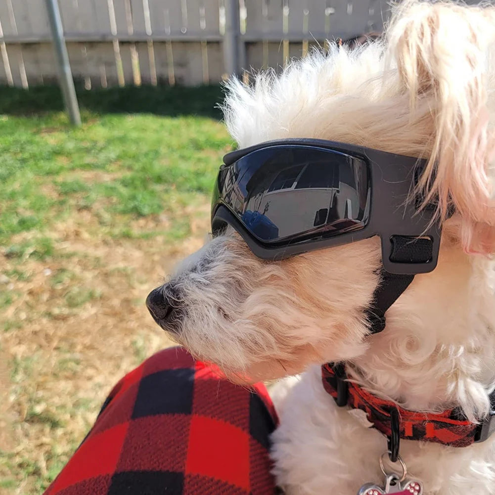 Pet UV Protection Sunglasses: Adjustable Goggles for Small and Medium Dogs and Cats