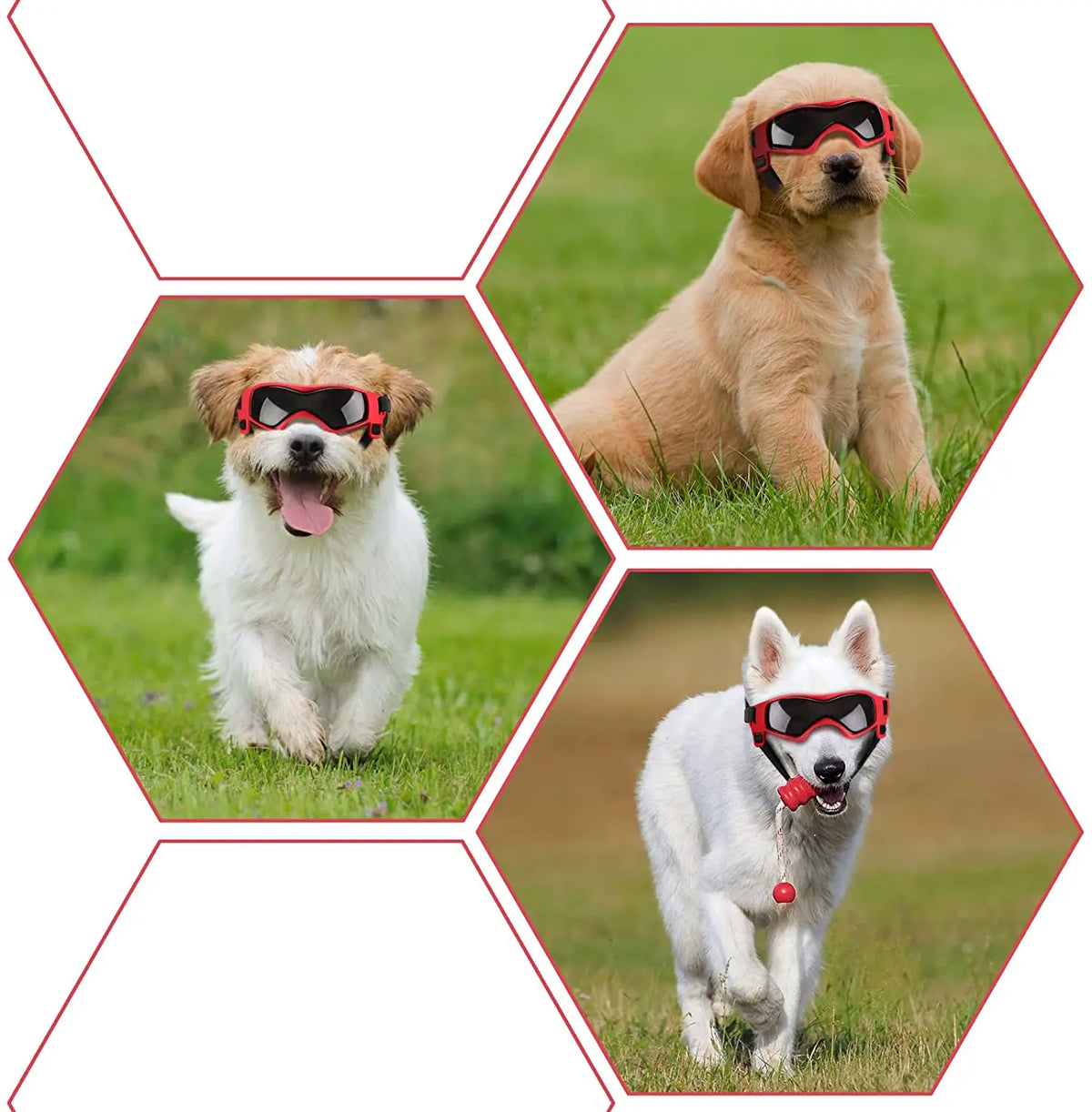 Pet UV Protection Sunglasses: Adjustable Goggles for Small and Medium Dogs and Cats