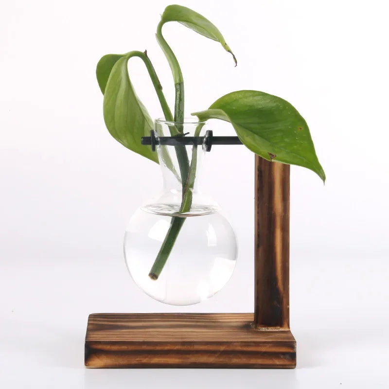 Hydroponic Plant Terrarium Vase: Glass Bottle for Home and Office Desktop Decoration