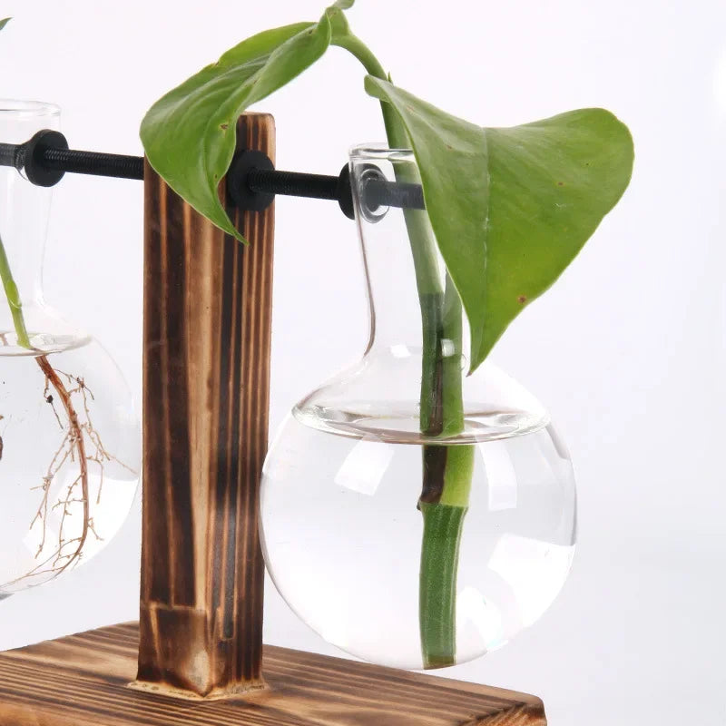 Hydroponic Plant Terrarium Vase: Glass Bottle for Home and Office Desktop Decoration