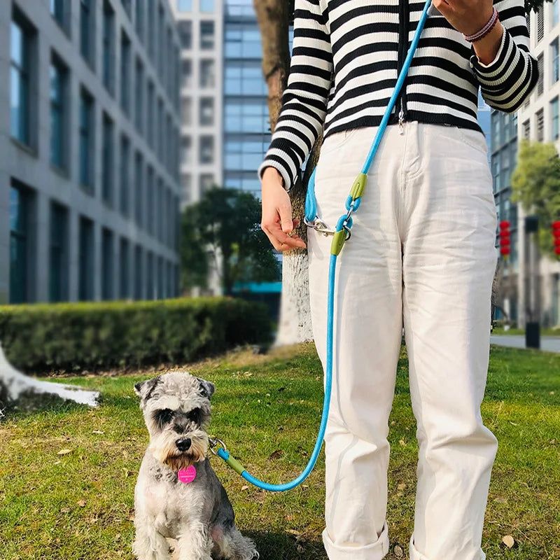 Reflective Nylon Dog Leash – Hands-Free Traction Rope for Walking &amp; Running