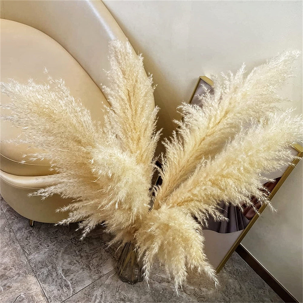 80-120cm Pampas Grass: XXL Fluffy Dried Flowers for Boho Home and Wedding Decor