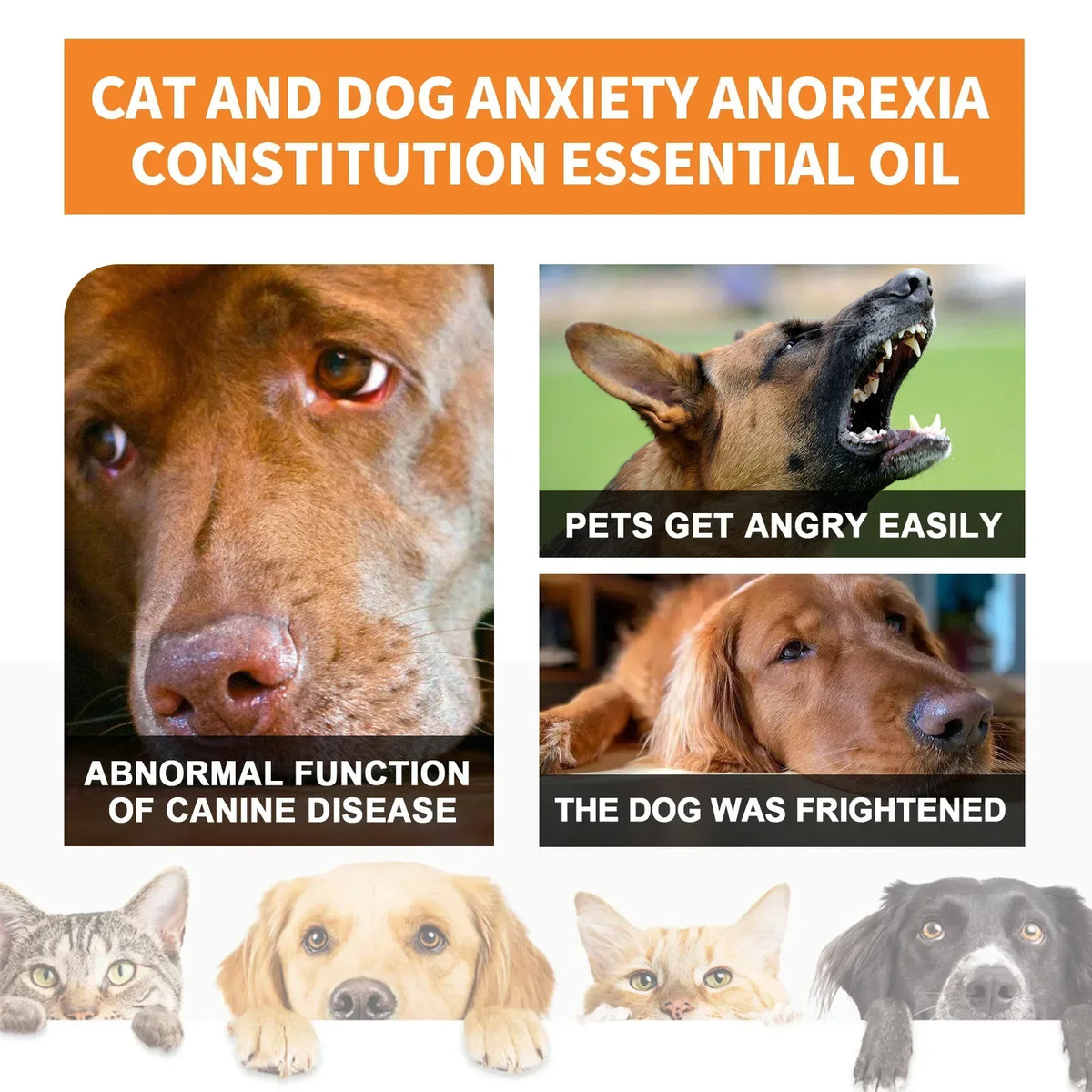 Natural Organic Calming Drops: Essential Oil Blend for Pet Anxiety Relief and Skin Health