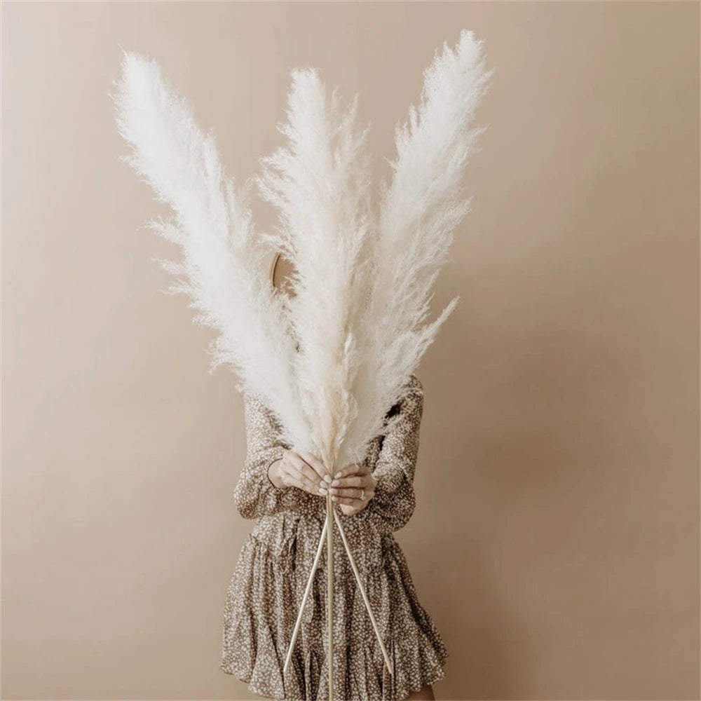 80-120cm Pampas Grass: XXL Fluffy Dried Flowers for Boho Home and Wedding Decor