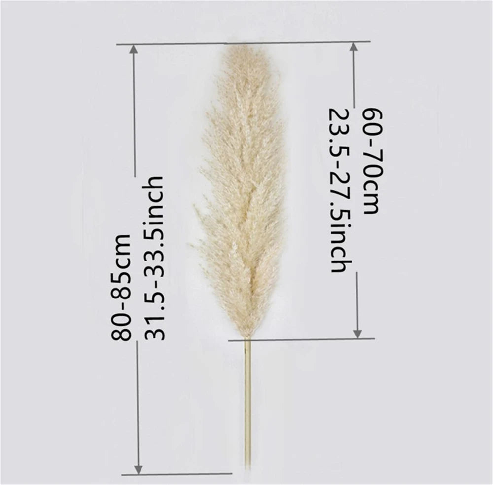 80-120cm Pampas Grass: XXL Fluffy Dried Flowers for Boho Home and Wedding Decor