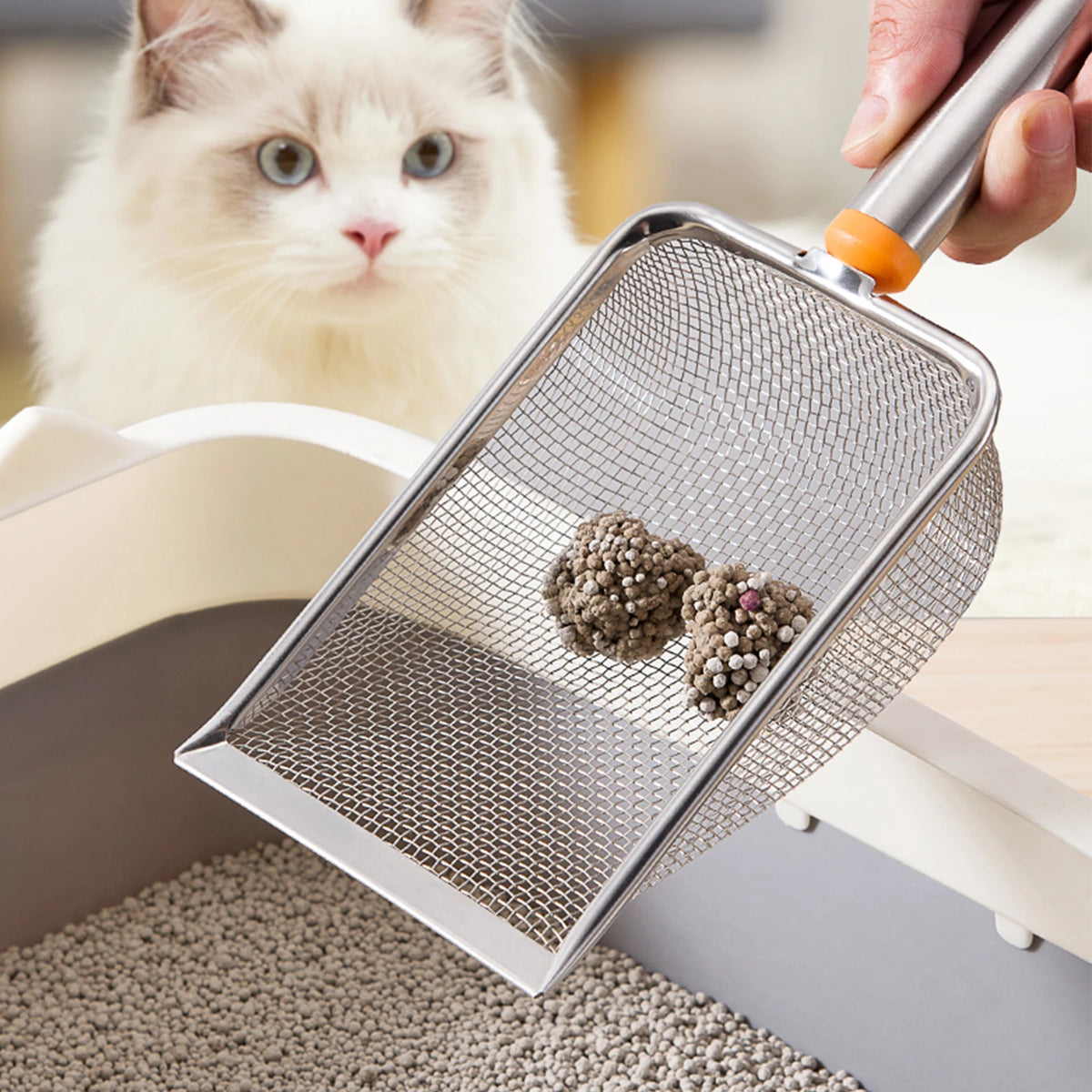 Stainless Steel Cat Litter Scoop: Long Handle Sifter for Kittens and Small Pets