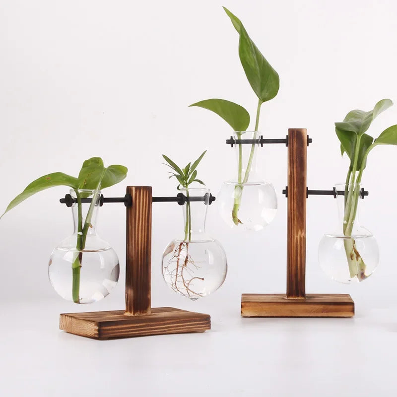 Hydroponic Plant Terrarium Vase: Glass Bottle for Home and Office Desktop Decoration