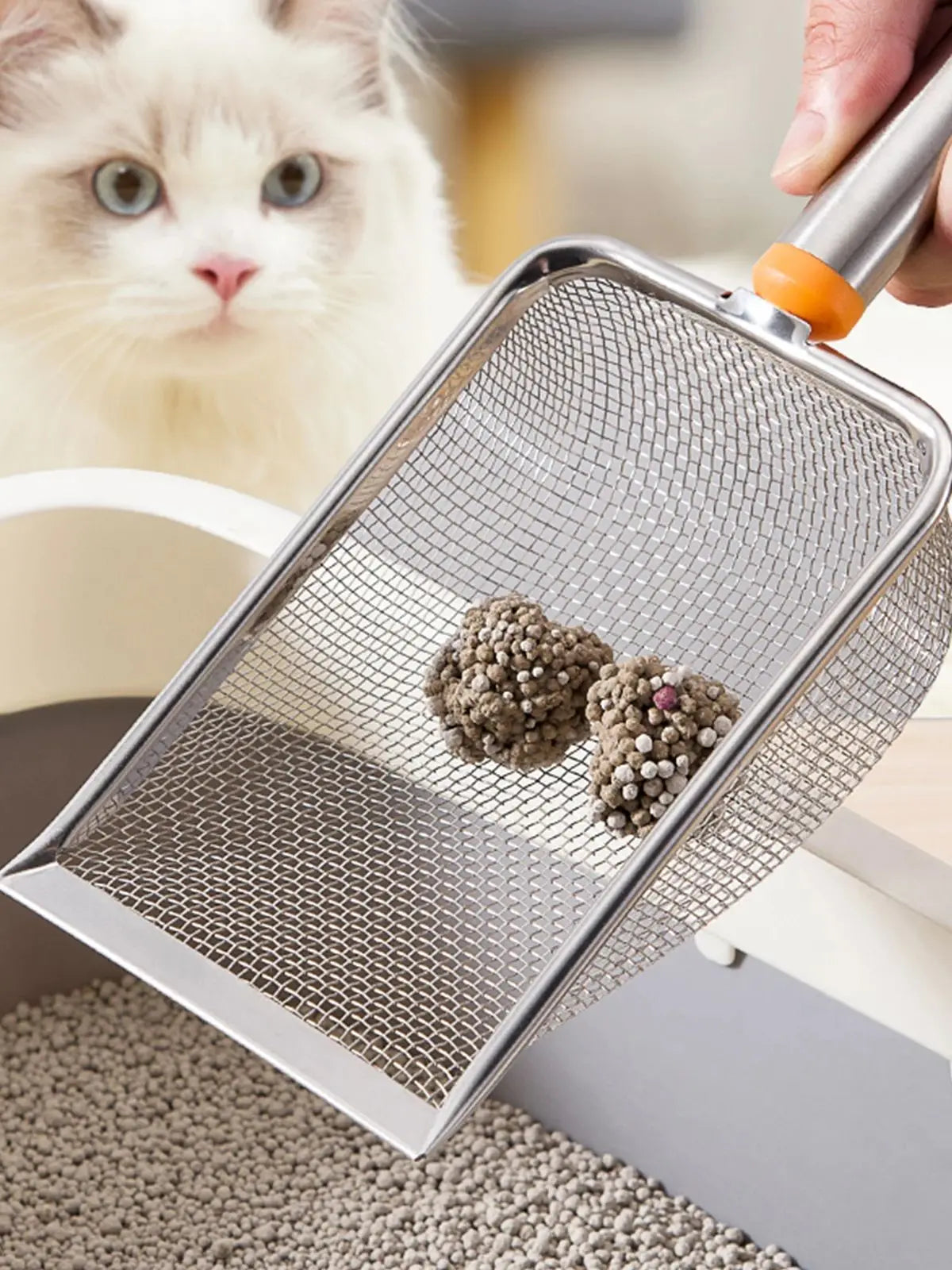 Stainless Steel Cat Litter Scoop: Long Handle Sifter for Kittens and Small Pets