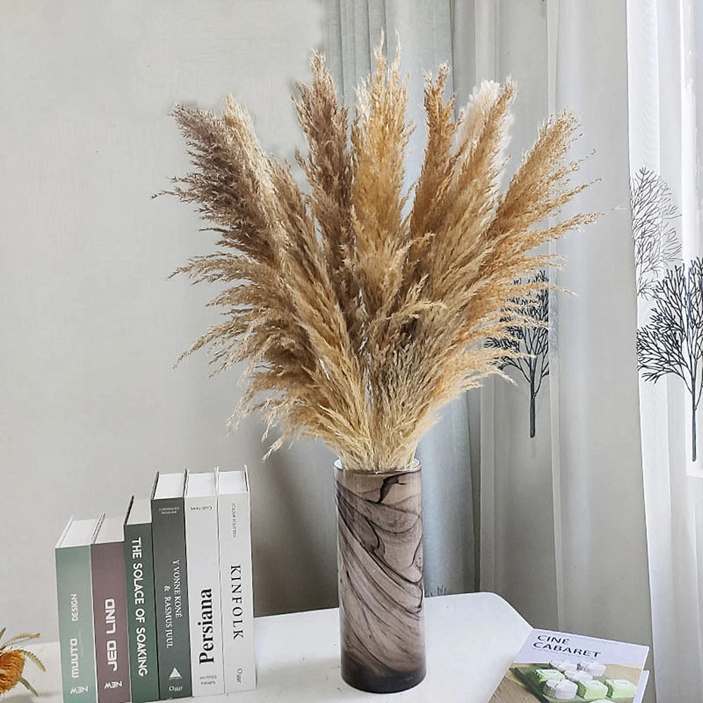 80-120cm Pampas Grass: XXL Fluffy Dried Flowers for Boho Home and Wedding Decor