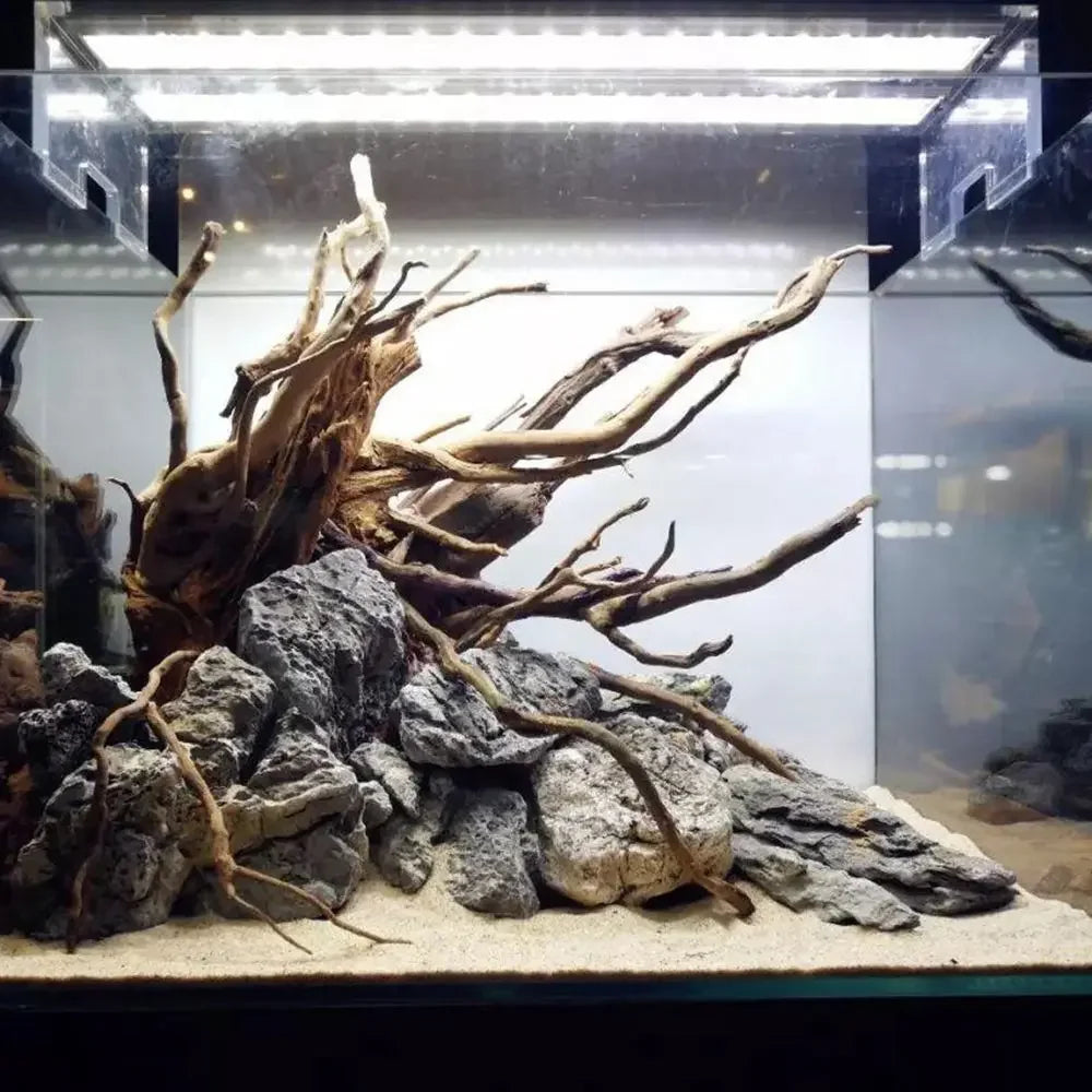 Driftwood Tree for Aquarium: Natural Decor for Fish Tanks