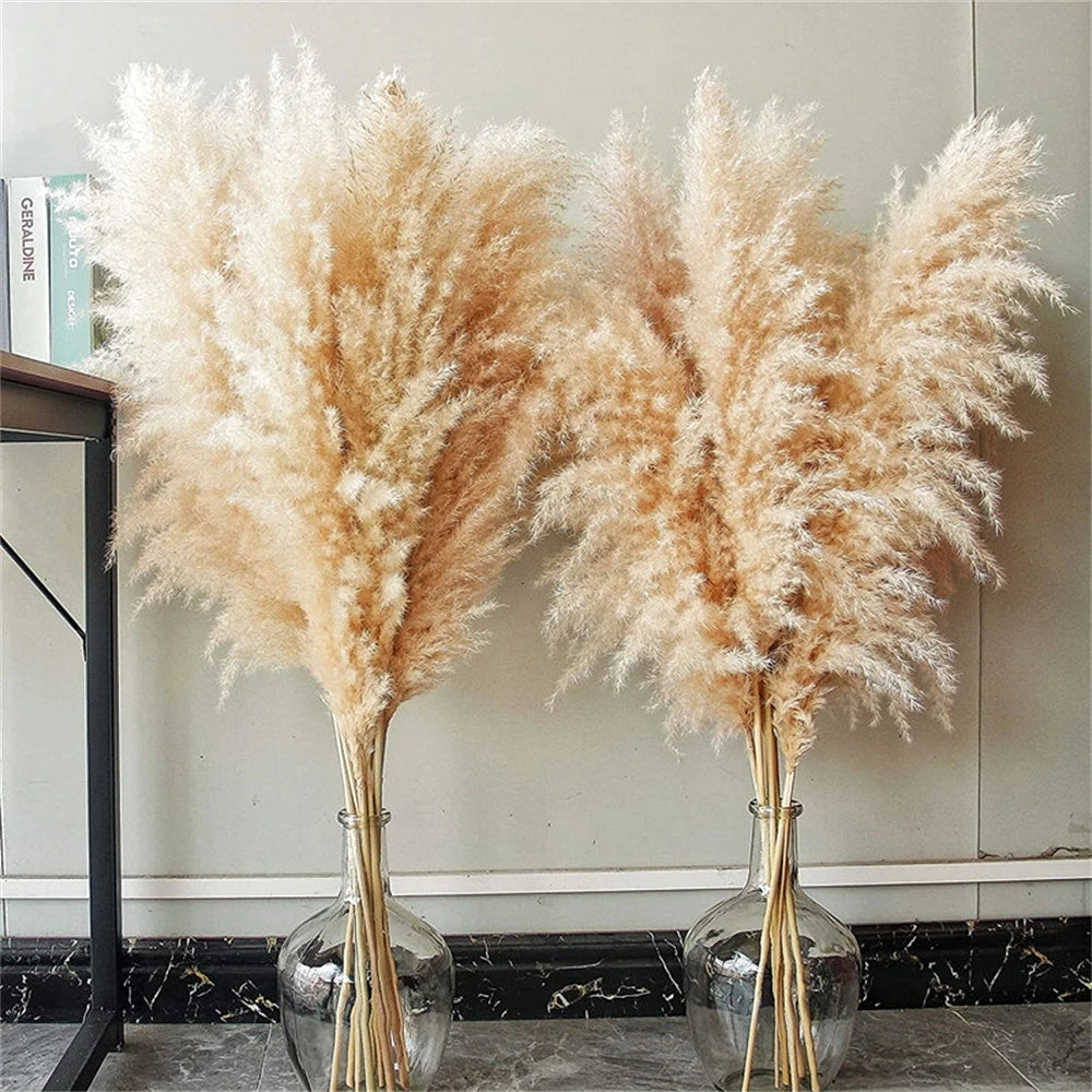 80-120cm Pampas Grass: XXL Fluffy Dried Flowers for Boho Home and Wedding Decor