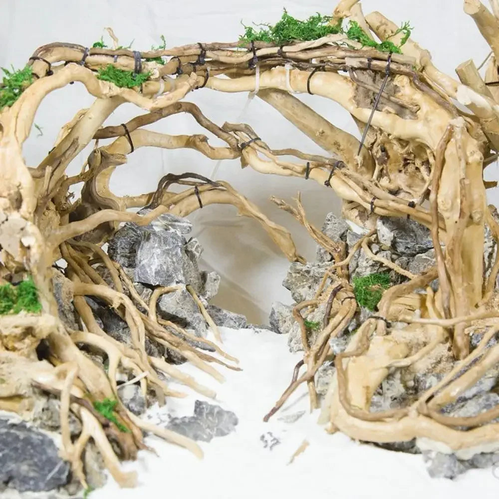 Driftwood Tree for Aquarium: Natural Decor for Fish Tanks