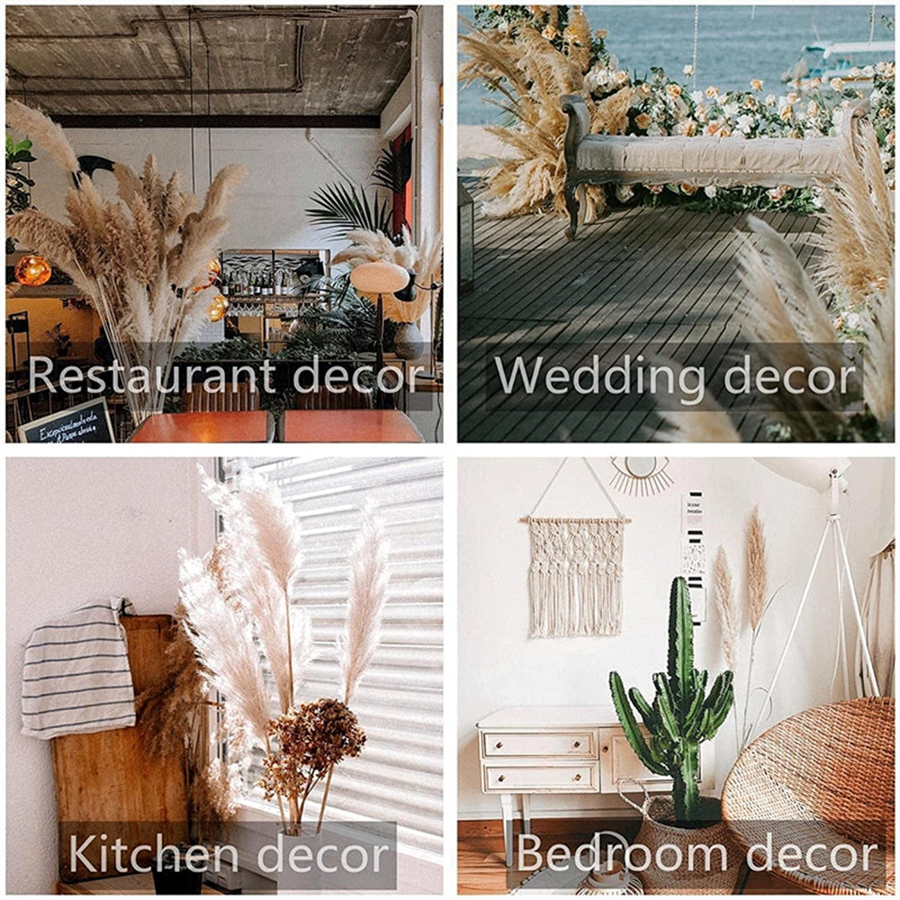 80-120cm Pampas Grass: XXL Fluffy Dried Flowers for Boho Home and Wedding Decor