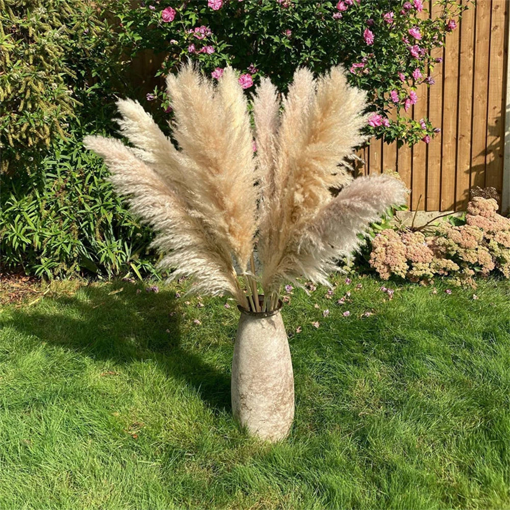 80-120cm Pampas Grass: XXL Fluffy Dried Flowers for Boho Home and Wedding Decor