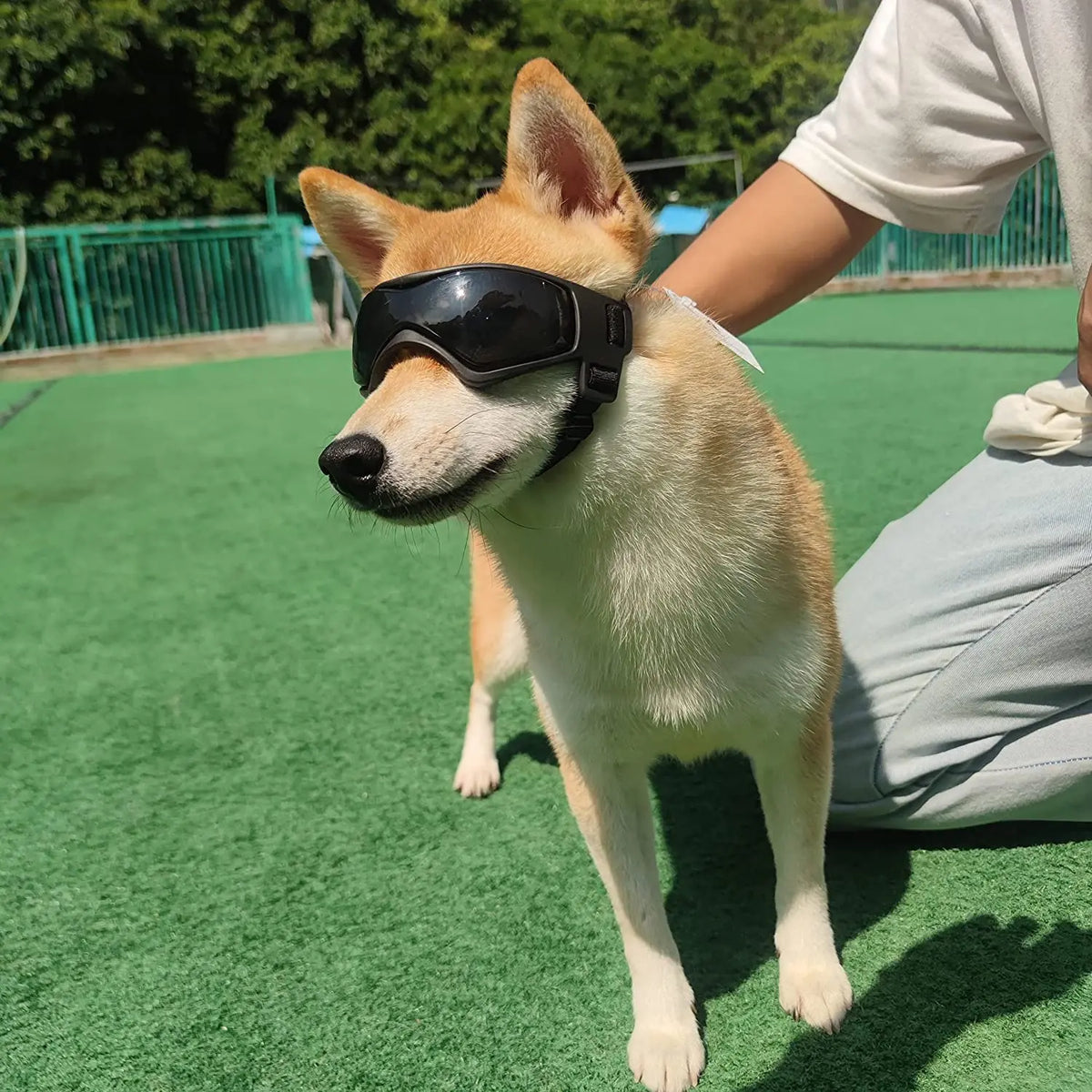 Pet UV Protection Sunglasses: Adjustable Goggles for Small and Medium Dogs and Cats