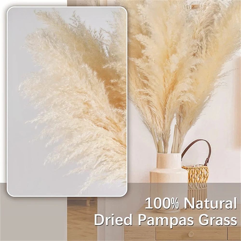 80-120cm Pampas Grass: XXL Fluffy Dried Flowers for Boho Home and Wedding Decor