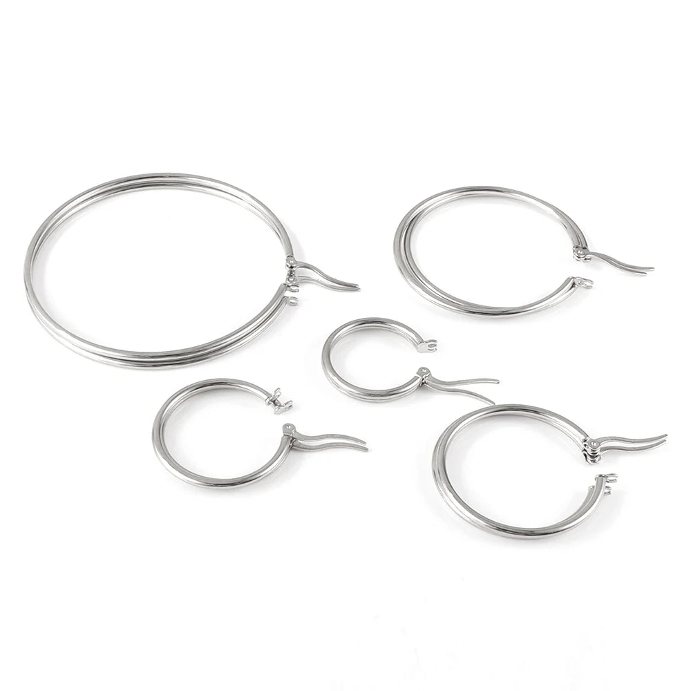 LUXUSTEEL 2PCS Stainless Steel Hoop Earrings – 10-70mm Silver-Tone Huggies for Men &amp; Women, Small to Large Circle Earrings