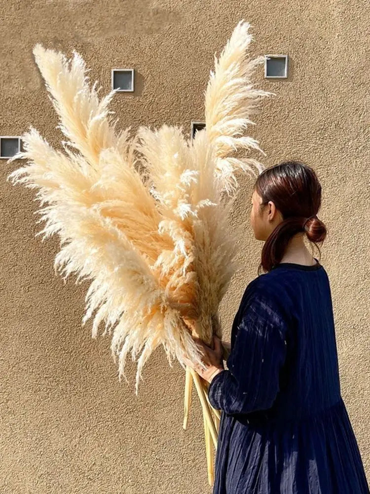 80-120cm Pampas Grass: XXL Fluffy Dried Flowers for Boho Home and Wedding Decor