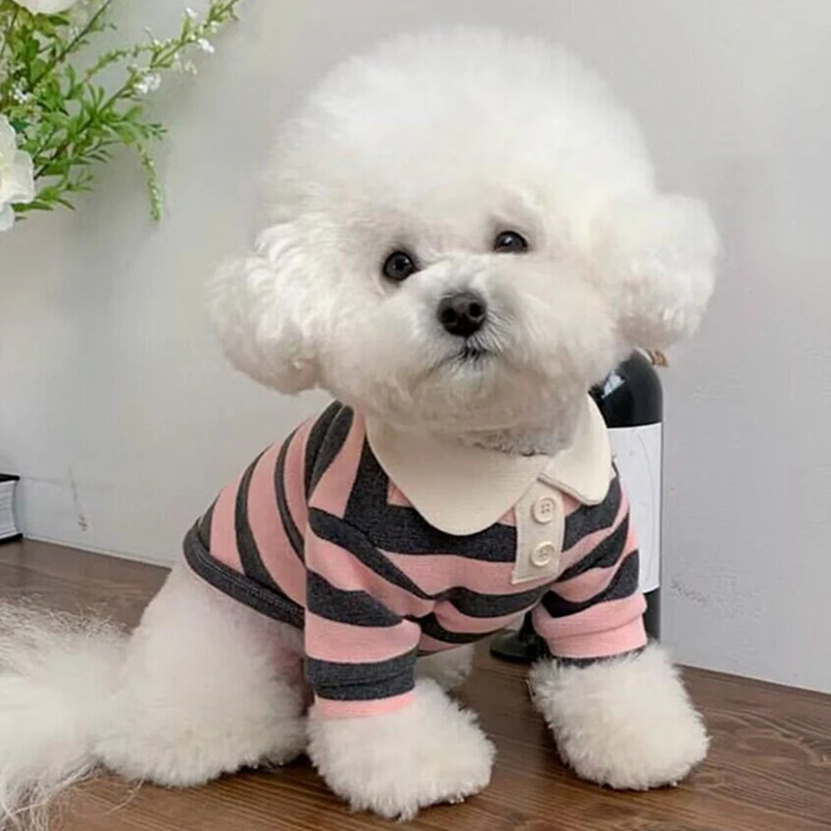 Striped Polo Shirt for Dogs: Soft Summer Dress T-Shirt Costume for Teddy and Yorkies